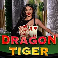 Dragon Tiger game tile