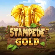 Stampede Gold game tile