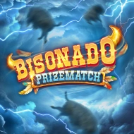 Bisonado PrizeMatch game tile