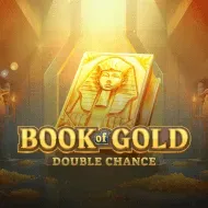Book of Gold: Double Chance game tile