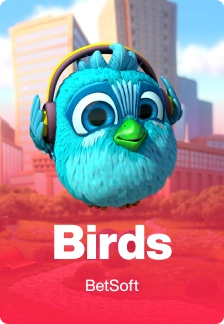 Birds