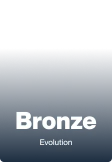 Bronze