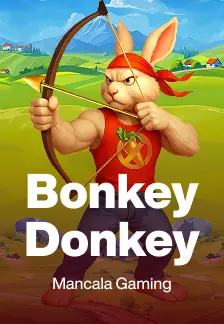 Bonkey Donkey