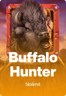 Buffalo Hunter