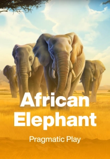 African Elephant