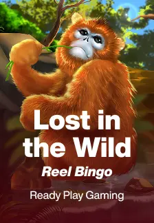 Lost in the Wild Reel Bingo