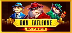 Don Catleone Hold And Win game tile