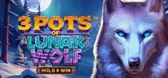 3 Pots of Lunar Wolf – Hold & Win game tile