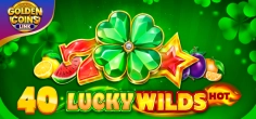 40 Lucky Wilds Hot Golden Coins Link game tile