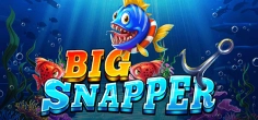 Big Snapper game tile