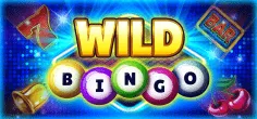 Wild Bingo game tile