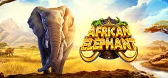 African Elephant game tile