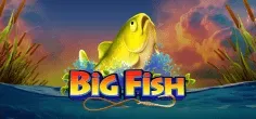 Big Fish game tile