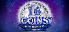 16 Coins Grand Platinum Edition game tile