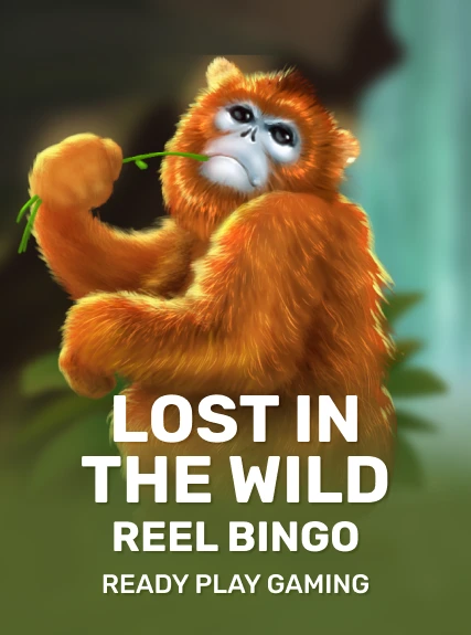 Lost in the Wild Reel Bingo game tile