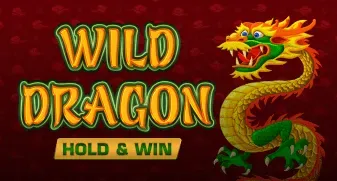 Wild Dragon Hold & Win game tile