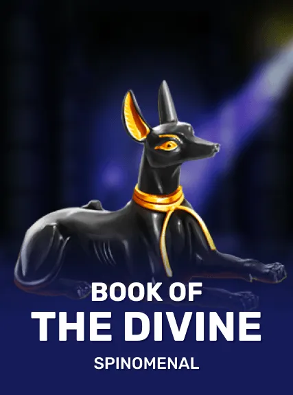 Book Of The Divine game tile