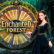Enchanted Forest