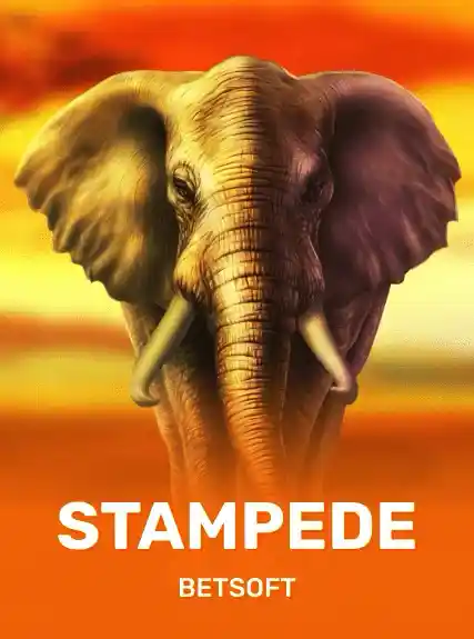 Stampede