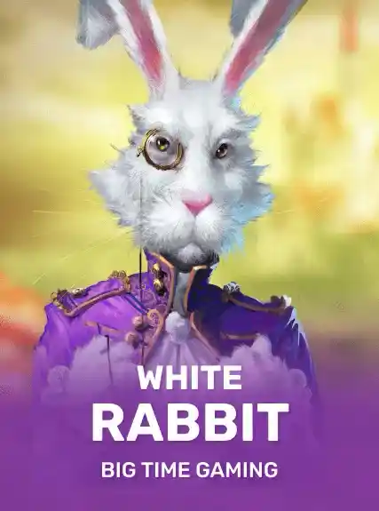 White Rabbit